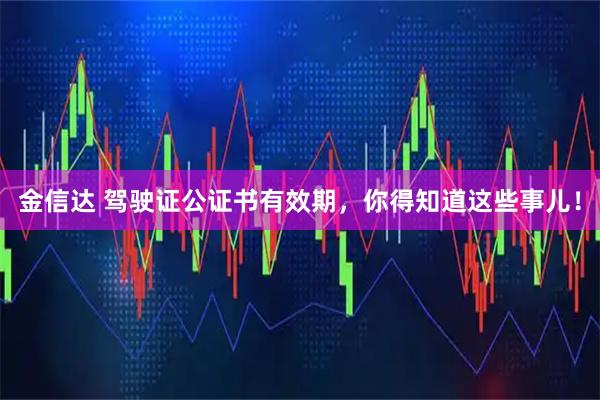 金信达 驾驶证公证书有效期，你得知道这些事儿！