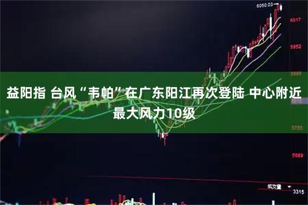 益阳指 台风“韦帕”在广东阳江再次登陆 中心附近最大风力10级