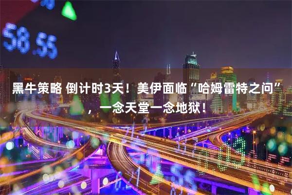 黑牛策略 倒计时3天！美伊面临“哈姆雷特之问”，一念天堂一念地狱！