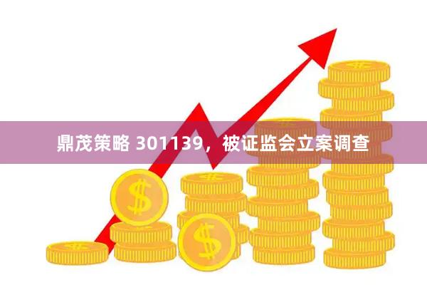 鼎茂策略 301139，被证监会立案调查