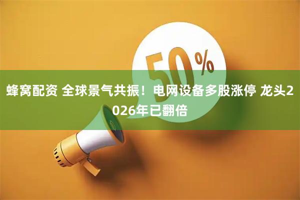 蜂窝配资 全球景气共振！电网设备多股涨停 龙头2026年已翻倍