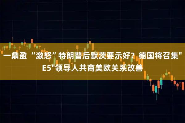 一鼎盈 “激怒”特朗普后默茨要示好？德国将召集"E5"领导人共商美欧关系改善