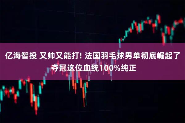 亿海智投 又帅又能打! 法国羽毛球男单彻底崛起了 夺冠这位血统100%纯正